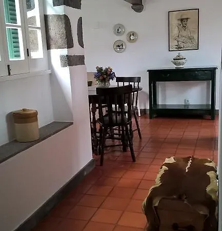 Galera