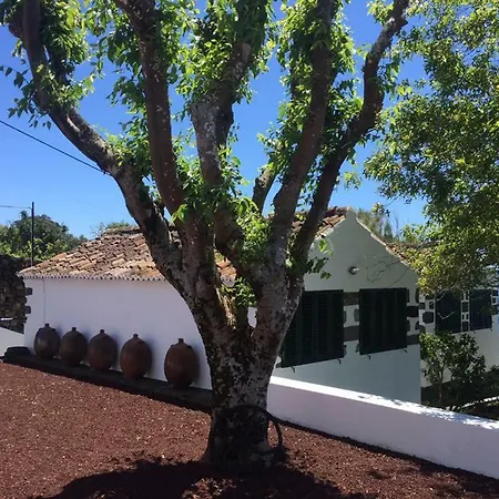 Monserrate - Galera *