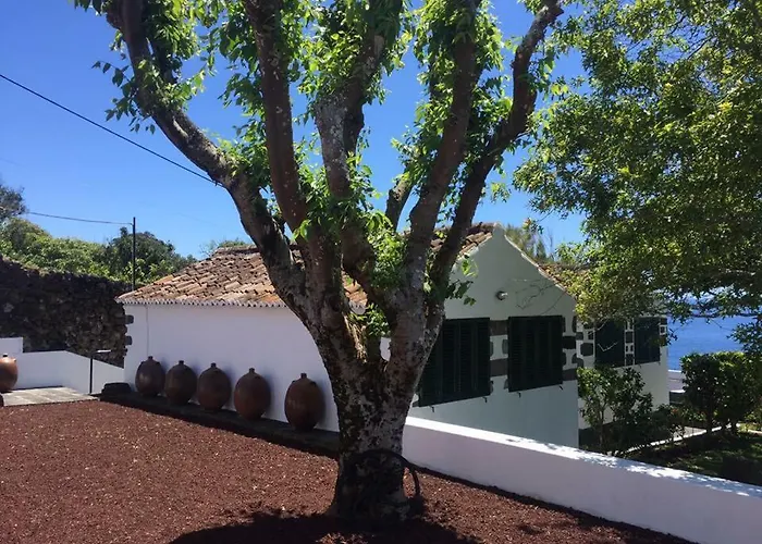 Monserrate - Galera *